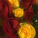 roses